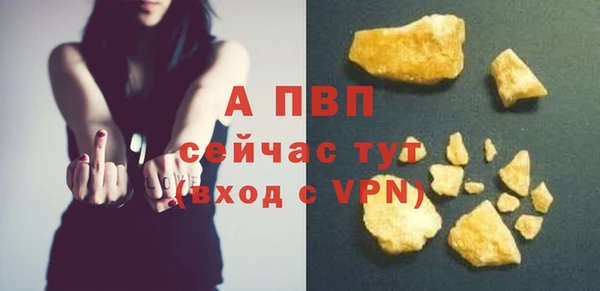 сатива Волосово
