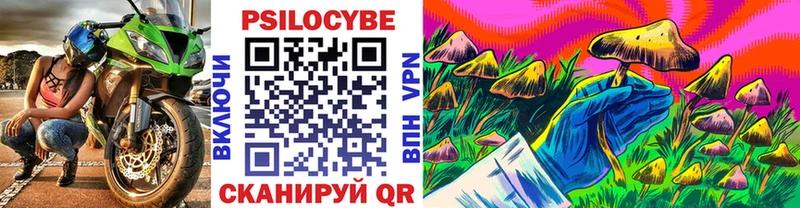 Галлюциногенные грибы GOLDEN TEACHER где купить наркоту Смоленск